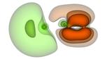 Quantum algorithms save time in the calculation of electron dynamics