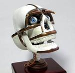 Android Robot Head Hardware