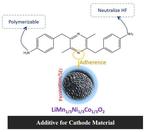 Stabilizing Lithium-Ion Batteries with Microbially Synthesized Electrolyte Additive