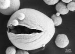 Iron for energy storage
