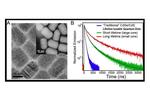 New quantum dots study uncovers implications for biological imaging