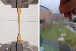 An important step towards strong and durable biobased plastics