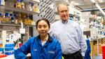 Princeton chemists create quantum dots at room temp using lab-designed protein