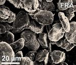 Rice flashes new life into lithium-ion anodes