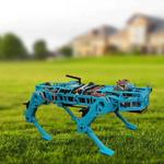 LOTP Robot Dog V2