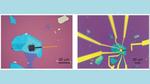 Superconductivity and Ferroelectricity Found in the Same 2D Material