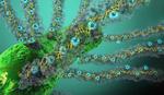 Light Accelerates Conductivity in Nature’s ‘Electric Grid’