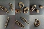 A Butterfly Flaps Its Wings and Scientists Make Jewelry