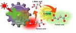 Artificial photosynthesis uses sunlight to make biodegradable plastic
