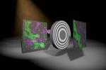 Colour images from the shadow of a sample