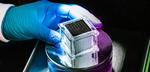 Elevated design keeps solar stills salt-free