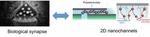 Graphene researchers discover long-term memory in 2D nanofluidic channels