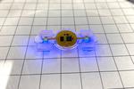 Microelectronics give researchers a remote control for biological robots