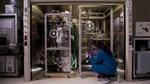 Scientists Unveil Least Costly Carbon Capture System to Date