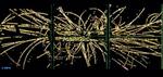 W boson turns 40