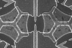 Analogue solution offers answers to some of quantum physics’ biggest questions