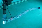 Engineers devise a modular system to produce efficient, scalable aquabots