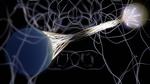 Quantum breakthrough: Chinese scientists realize faster way of quantum key distribution