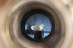 FAMU-FSU researchers find thermal limits of advanced nanomaterials