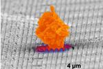 Anti-Dust Tech Paves Way for Self-Cleaning Surfaces