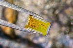Breakthrough Enables Battery-free Smart Tag Technology