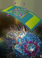 Umass Amherst Researchers Invent “Electronic Nose” Built With Sustainably Sourced Microbial Nanowires That Could Revolutionize Health Monitoring