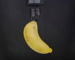 LEVITATING BANANA - Electromagnetic Levitation