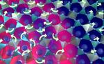 Neutrons reveal key to extraordinary heat transport