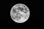 Lunar Telescope Will Search for Ancient Radio Waves
