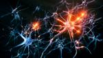 Novel computer components inspired by brain cells