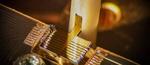 High-performance detectors to combat spies