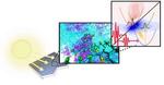 Modelling superfast processes in organic solar cell material