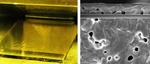 Perovskite solar cells from the slot die coater - a step towards industrial production