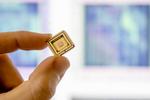 Detecting manipulations in microchips