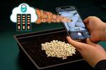 Tackling counterfeit seeds with “unclonable” labels