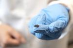 UTEP Joins Project to 3D Print Batteries from Lunar and Martian Soil