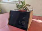 Hello Houseplant