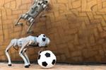 A four-legged robotic system for playing soccer on various terrains
