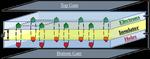 Can a solid be a superfluid? Engineering a novel supersolid state from layered 2D materials