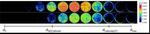 Solid-State Lithium-Sulfur Batteries: Neutrons unveil sluggish charge transport