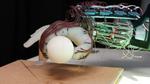 It’s all in the wrist: energy-efficient robot hand learns how not to drop the ball