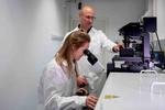 Nanotubes as optical stopwatch for the detection of neurotransmitters