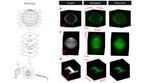 New light sheet holography overcomes the depth perception challenge in 3D holograms