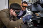 Research on Light Emission From Black Phosphorus Hints at New Applications