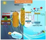 3D-printed Polymer Substrate Coated with Photocatalytic Film Developed for Efficient Water Purification