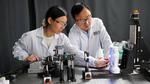 NUS scientists develop a novel light-field sensor for 3D scene construction with unprecedented angular resolution