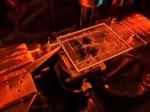 Chip-based QKD achieves higher transmission speeds