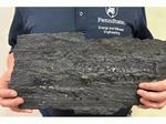 Hydrogen battery: Storing hydrogen in coal may help power clean energy economy
