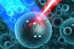 With light into the nanoworld