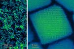 Researchers develop a new source of quantum light